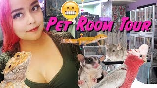 Pet Room Tour | Where do I keep my pets?