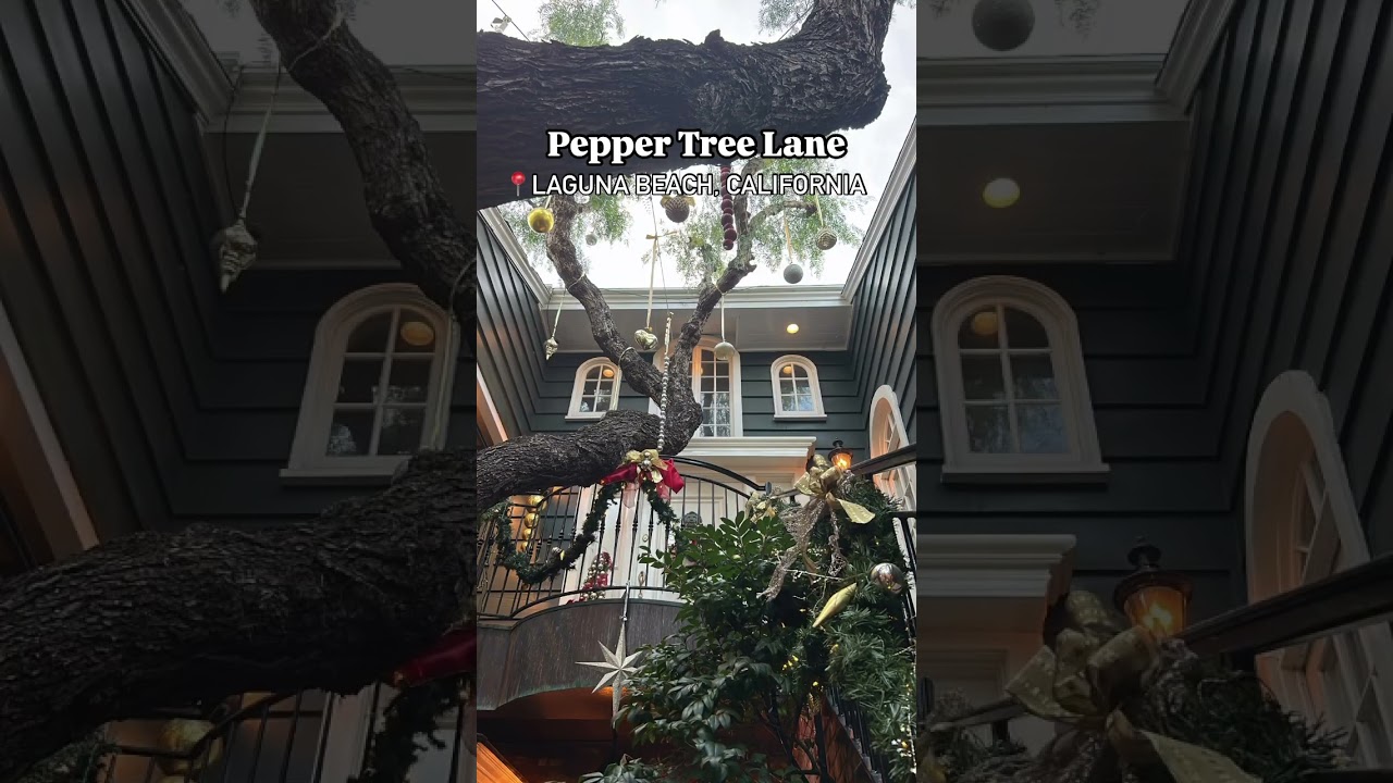 HOLIDAY DESSERT IN LAGUNA BEACH 