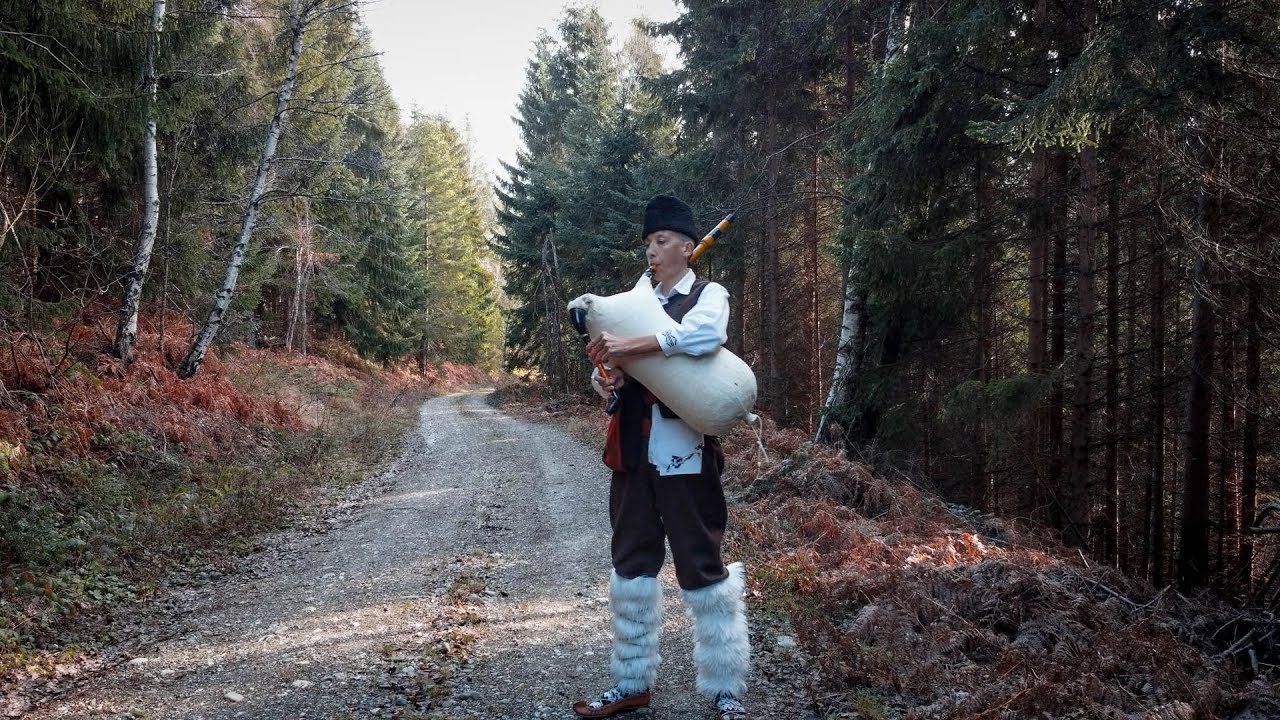 Oj devojče često li me sanjaš