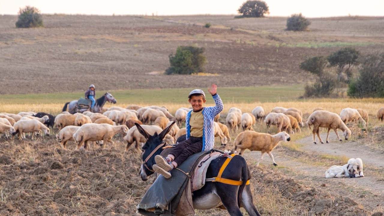 Sivas'ı Keşfet Ulaş Belgeseli