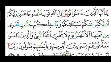 #قراءة وشرح أحكام التجويد لسورة ( التحريم ) آية رقم ( ٨ ) وكيف نرقق لام لفظ الجلالة(الله)المعلمة رضى