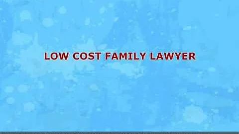 LOW COST FAMILY LAWYER, WILLIS EVERETT SMITH.