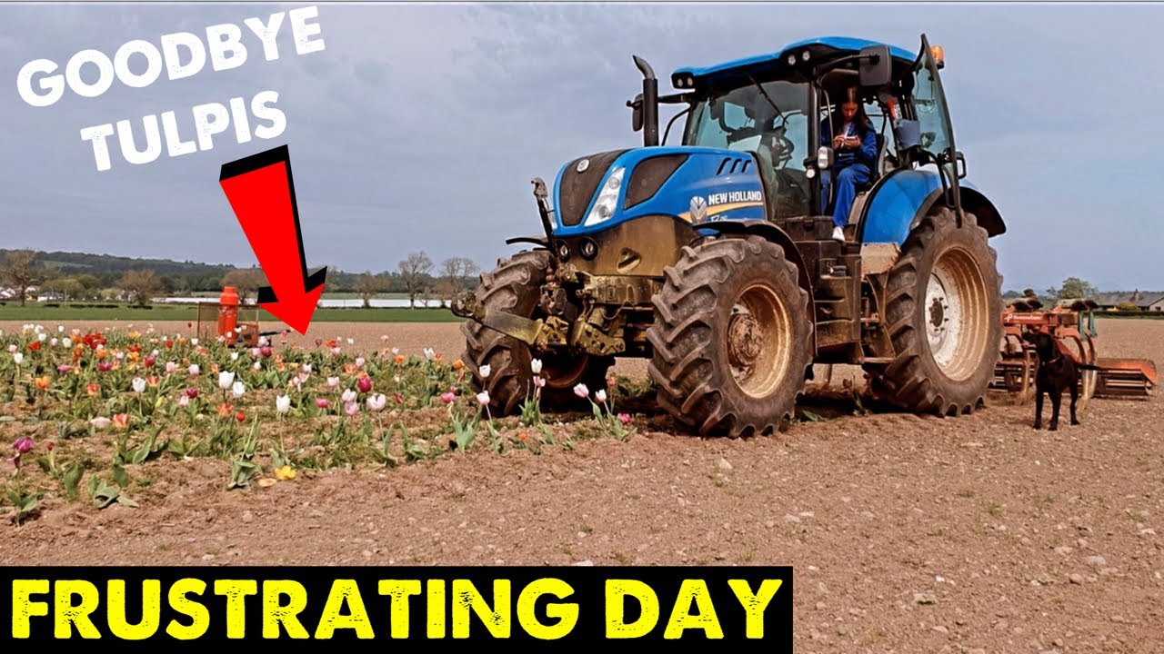Dead Tractor | Escapee Calf | Decimating Flowers #CRAWFORDSFARM #268 ...