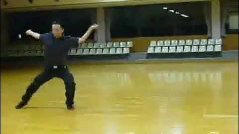 Xing Yi Quan Linking forms 形意拳 - 五行连环拳 Wu Xing Quan