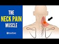 The neck pain muscle how to release it for instant relief