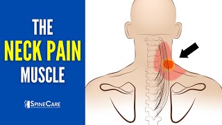 The Neck Pain Muscle How To Release It For Instant Relief