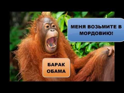 Прикольные картинки мордовия