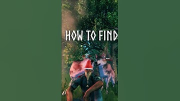 How to Find and Tame a 2 Star Wolf in Valheim