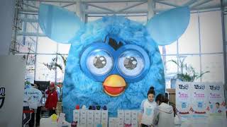 Korean Furby Launch Celebration