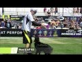 Flying Disc 2nd Place - Incredible Dog Challenge 2015 Huntington Beach, CA
