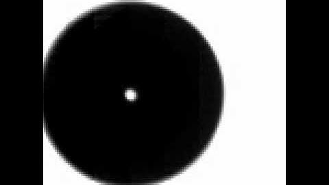 Cavitation Bubble Collapse and Rebounds