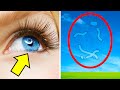 85 Curiosità Sul Corpo Umano Per Impressionare Il Prof. Di Biologia