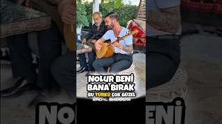 Nolur Beni Bana Bırak - Erdal Erdoğan Resimi