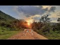 Driving through Sariska Tiger Reserve