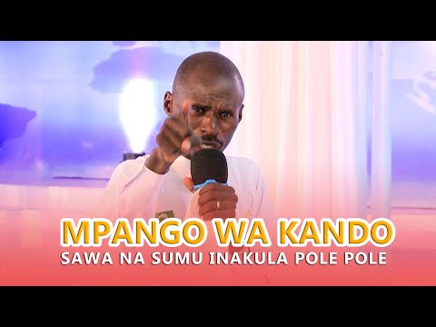 Video: Mpango wa busara ni nini?