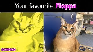 Floppa becoming canny (favourite Floppa)