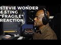 Stevie Wonder & Sting  - "Fragile" (Reaction)