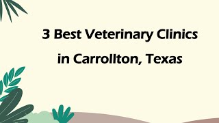 3 Best Veterinary Clinics in Carrollton, Texas | Animal Hospitals