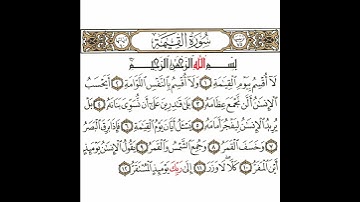 سورة القيامة 1 القسم الأول تكرار كيفي من .. لا أقسم بيوم القيامة  .. إلى .. إلى ربك يومئذ المستقر