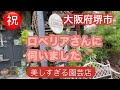 【大阪府堺市ロベリアさんに伺いました】美しすぎる園芸店
