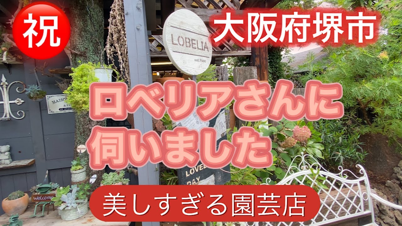 【大阪府堺市ロベリアさんに伺いました】美しすぎる園芸店