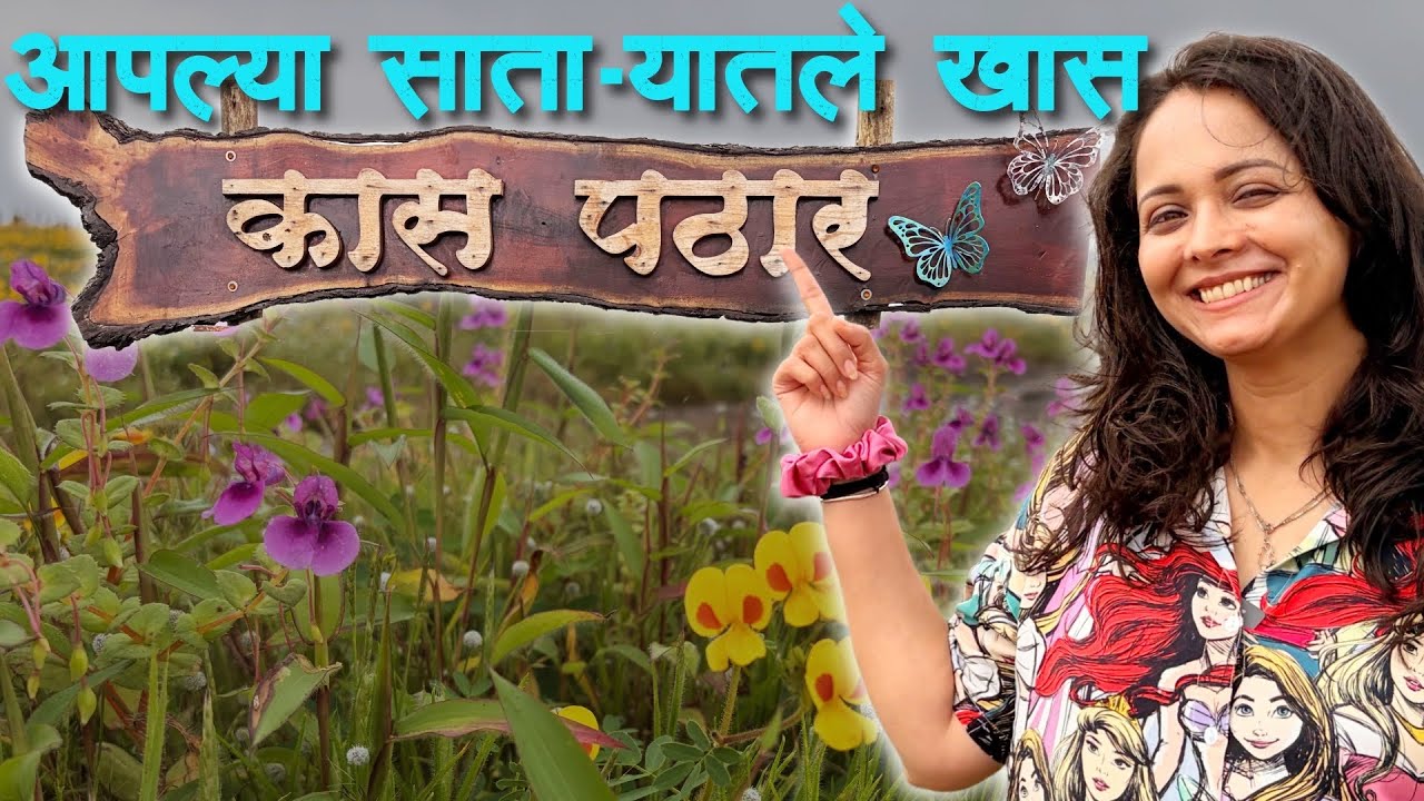 चला पाहूया आपल्या साताऱ्यातील खास पठार - कास पठार