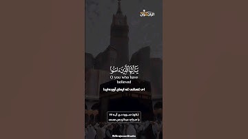 يا أيها الذين آمنوا اركعوا واسجدوا واعبدوا ربكم | تلاوت زیبای سوره حج با صدای قاری عبدالرحمن مسعد