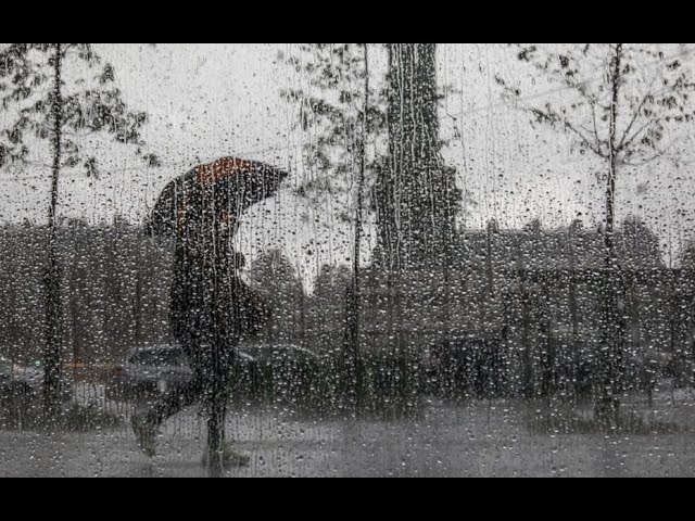 Bruit de pluie pour s'endormir - Beau son de pluie ft. son de pluie pour  bébé/Bruit de pluie doux MP3 Download & Lyrics