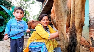 Cow milking Vlog with Kiran Maam || Village Damrog Solan || cow village