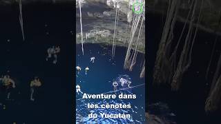 Aventure dans les cénotes du Yucatán #travel #voyage