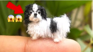 Top 10 List Of The Smallest Dog Breeds For You