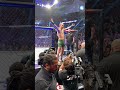 Sugar Sean O Malley Walks Out At UFC269 To A Unreleased 6ix9ine Song 