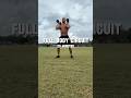 20 Minute Full Body Dumbbell Circuit
