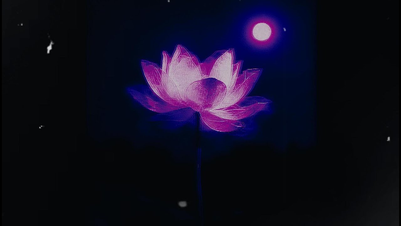 LOTUS | ULTRASLOWED