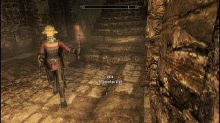 Pets of skyrim,  Skyrim anniversary edition