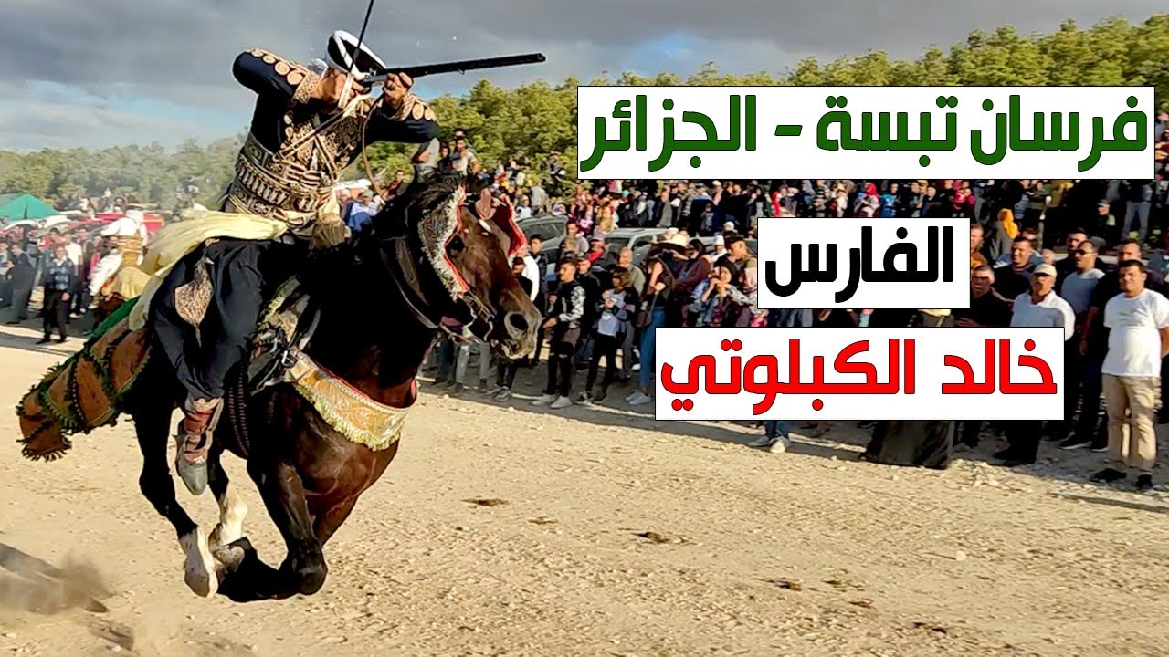 فرسان تبسة - الفارس خالد الكبلوتي - الجزائر