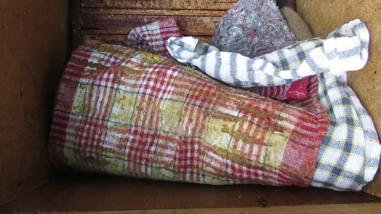 4311 Gdy pachnie rójkom w pszczeli rodzinie pszczoły mocno idą w górę gdy otworzymy ul.