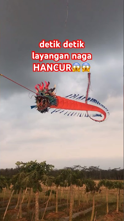 Layangan Naga Terjatuh | tali ronce terputus oleng #layangan #dragonkite #layangangapangan