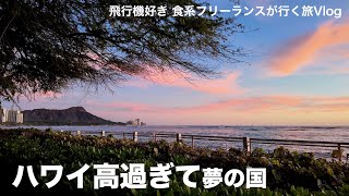 想像以上に「高すぎるハワイ」は夢の国