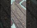 Viral Dress 👗 Only Rs 1999 With Free Home Dilivery #fashion #style
