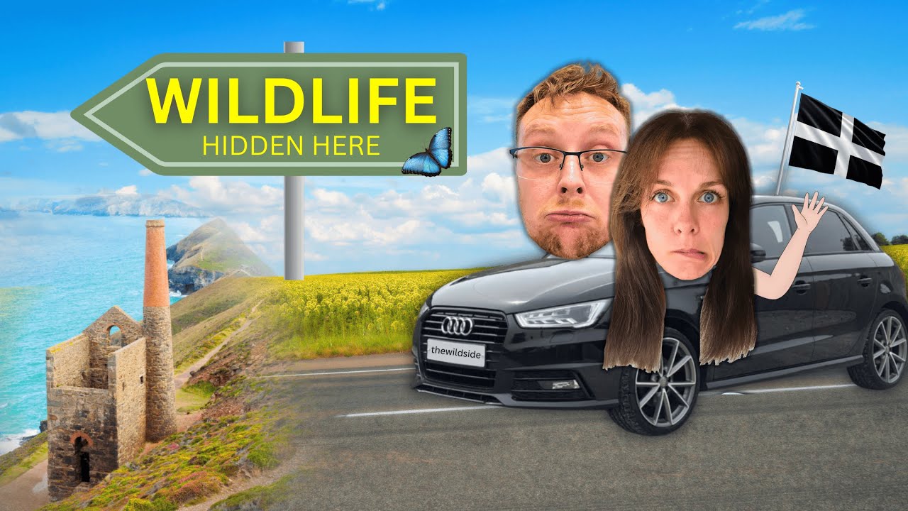 We FOUND Cornwall’s Most UNEXPECTED WILDLIFE Spot