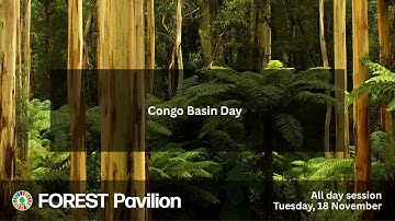 Forest Pavilion at COP30 – 18Nov – Congo Basin Day
