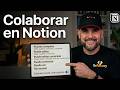 Permisos en Notion: La Guía Definitiva que tu Equipo Necesita Ahora