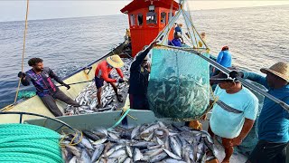 Download Lagu തിമിംഗലം കൂട്ടം ബോട്ടിന് ചുറ്റും | Whales Surrounded Our Boat😮 | Pursiene Boat Fishing!!! MP3 Download Lagu തിമിംഗലം കൂട്ടം ബോട്ടിന് ചുറ്റും | Whales Surrounded Our Boat😮 | Pursiene Boat Fishing!!! MP3