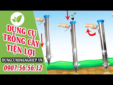 Video: Trồng Cây Tự Gieo - Thông Tin Sử Dụng Các Loại Cây Tự Gieo Hạt Trong Vườn