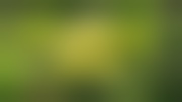 Harvest Day is Here! The Moment We