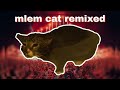 Mlem cat remix