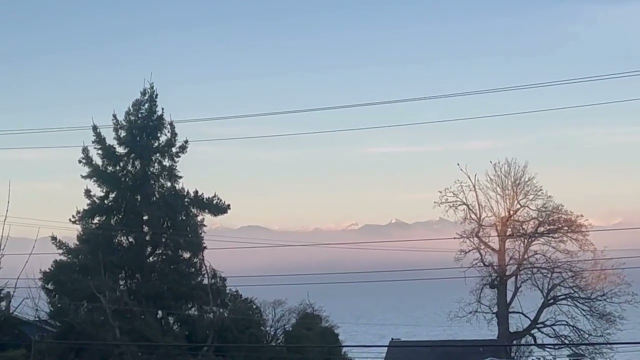 LIVE TV WALLPAPER | ZERO DEGREE VIEW OF THE HORIZON