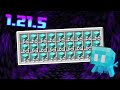 DonutSMP Dupe glitch  Dupe  ‼️UNPATCHED‼️1.21.5