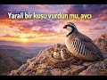 YouTube Da İlk Yaralı Bir Kuşu Vurdun Mu Avcı Folclore Tradicional De Anatolia 